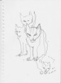 /album/galerie-photos/chats2-jpg1/